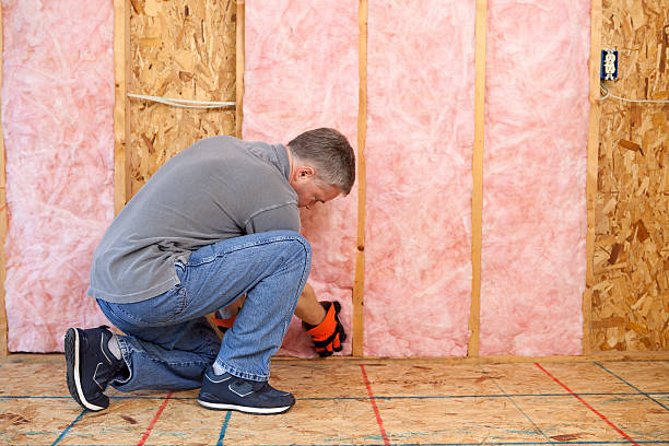 Best Insulation Installation Services in Dearborn Heights, MI